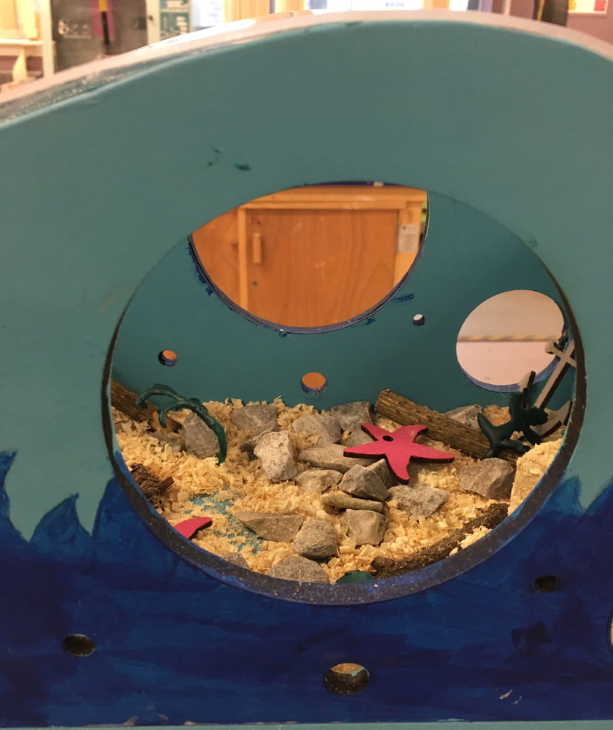 9 Armadale School aquarium Edinburgh Society of Model Engineers